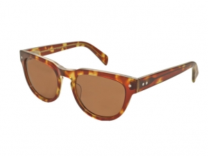 sixty-three-tortoise-uv-angle