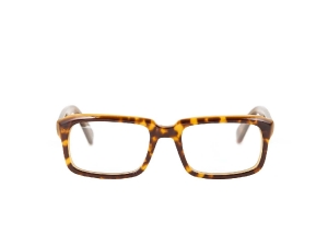 jackie_jimmy_tortoise_front