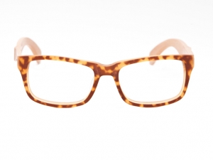 six_hewood_tortoise_front
